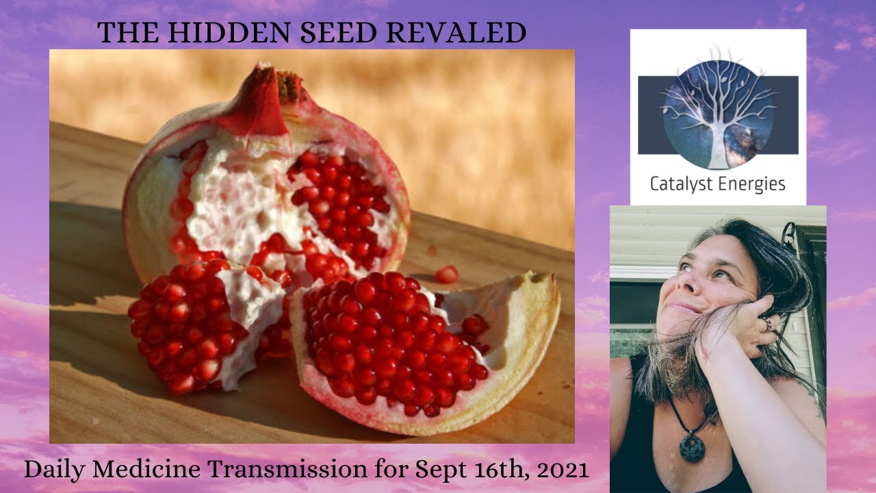 THE HIDDEN SEED REVEALED - Daily Medicine Transmission for Sept 16th, 2021