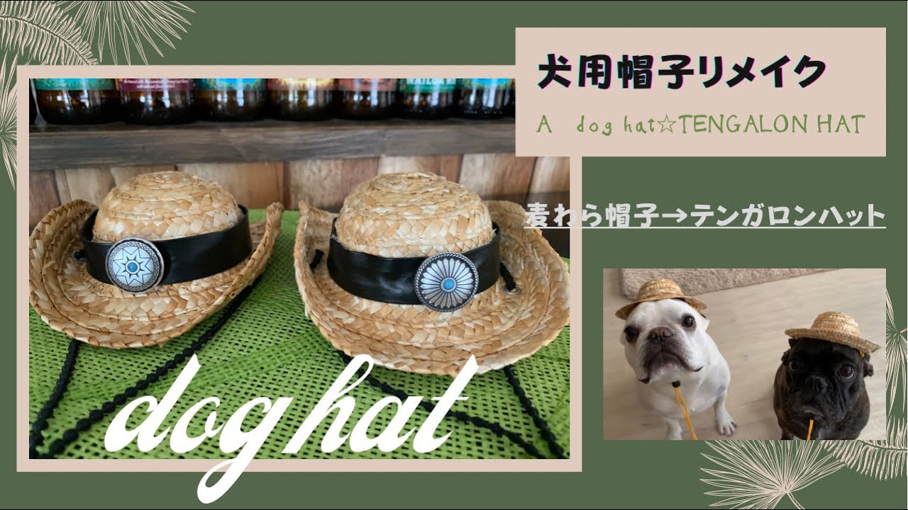 犬用帽子 麦わら帽子をリメイクして テンガロンハット にしてみました Youtube