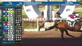 Vidéo de la course PMU PRIX NI LLORANDO