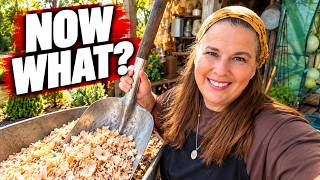 Full THE NEXT CHAPTER | CHANNEL UPDATES, HOME & MAXIMALISM Update
