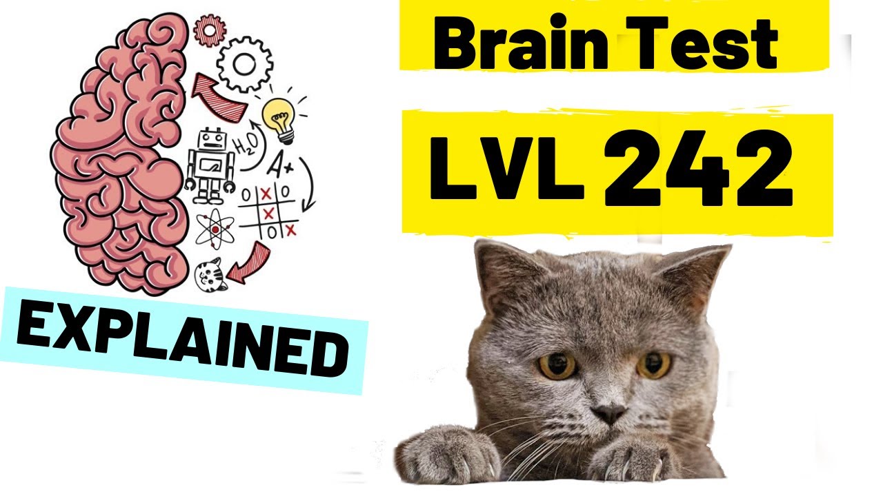 Brain test кот. 242 BRAINTEST.