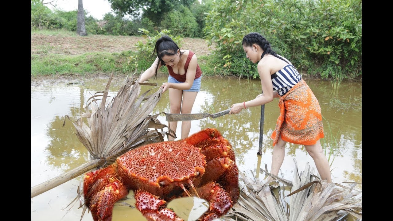 Wow! Two smart girls Catch Big Crabs in the Hole by Digging - How to Catch Crab by Dig Hole