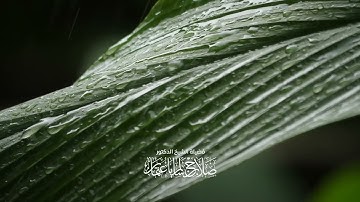 وَمَا خَلَقْنَا السَّمَاوَاتِ وَالْأَرْضَ وَمَا بَيْنَهُمَا إِلَّا بِالْحَقِّ ۗ | سورة الحجر| آية 85