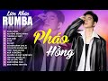 Album rumba nhc tr cover cc ht  khng qung co  nhc tr rumba 2024 hay nht hin nay