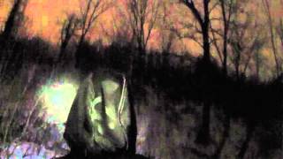 Bigfoot howling