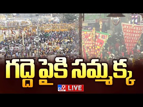 గద్దె పైకి సమ్మక్క LIVE | Medaram Jatara 2026 | Sammakka Saralamma Jatara - TV9