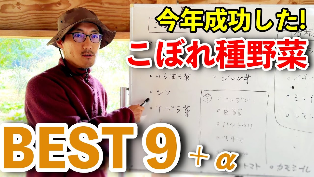 こぼれ種で成功した野菜９選！食べられる生態系を目指したい！