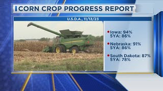 Siouxland Crop Progress Report, 11-14