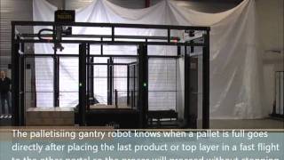 PALSYS Palletiseren met P40 Gantry Robot voor 2 pallet posities met geintregreerd vellen magazijn