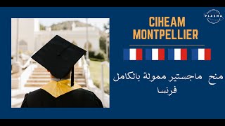 CIHEAM Montpellier iamm | منح دراسية مجانية