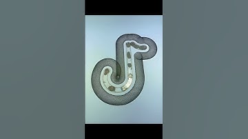 This Pattern Looks Familiar… #spirographshr #spirograph #asmr #satisfying #shorts #tiktok