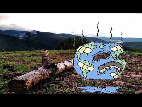 ვიდეო: როგორ განმარტავს ალდო ლეოპოლდი სიტყვა ეთიკას ეკოლოგიასთან დაკავშირებით?