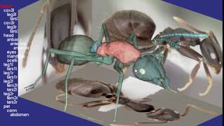 Demo video for "Parts, Image, and Sketch based 3D Modeling Method"