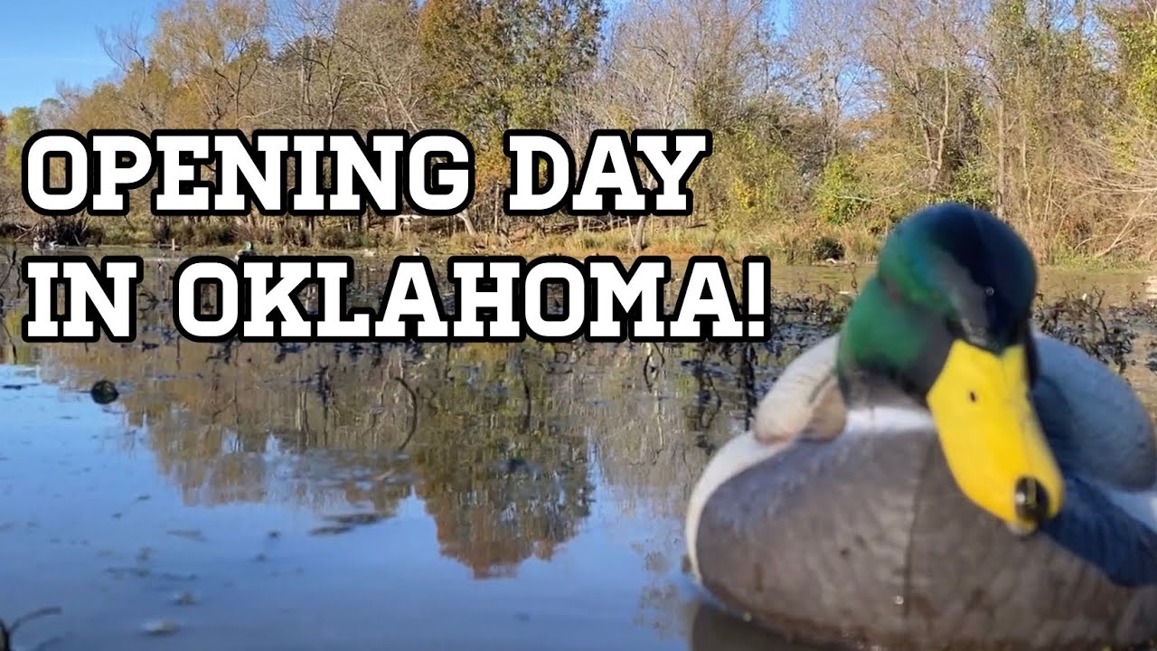 Opening Day of Duck Season on Public Land! YouTube