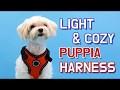 [PUPPIA US] Harness Introduction - F Style