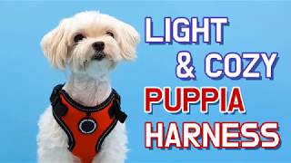[PUPPIA US] Harness Introduction - F Style