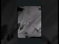 Seeking Information: Nancy Guthrie Video Footage 02