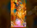 jagannath chakka nain | Radha | Krishna Bhajan | #bhakti | #radhe | #shorts