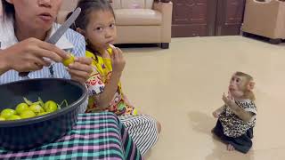 Oops.. Mom Put Jasmine Sit Sadd Far From Mom & Liya Lunch