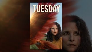 Tuesday