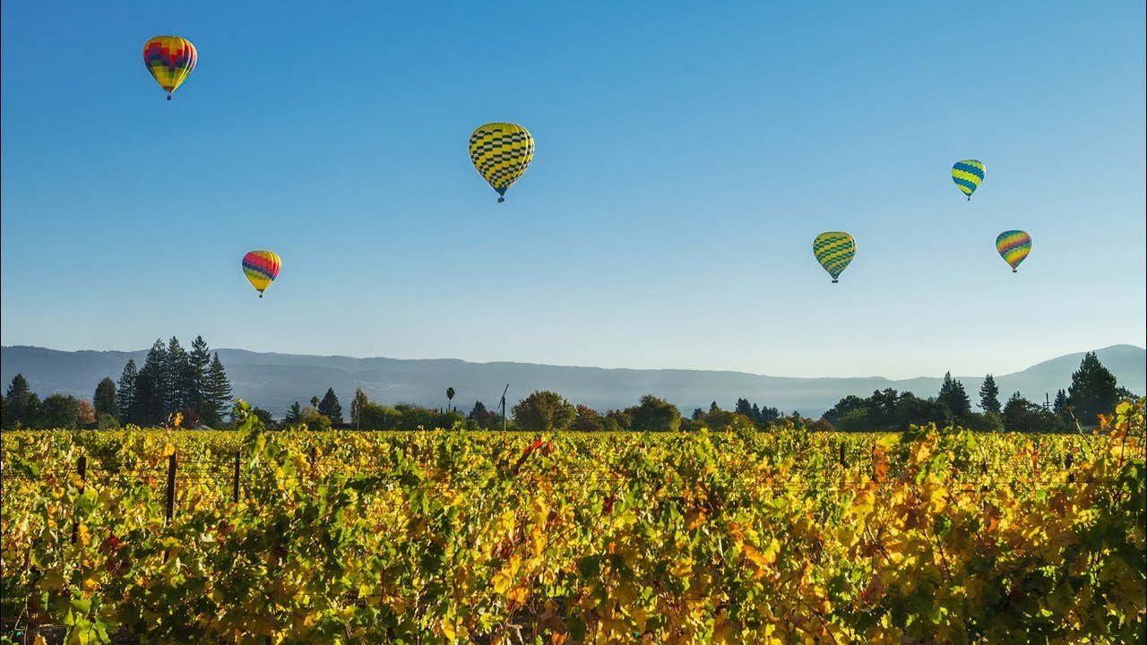 Hot Air Balloon in Napa Valley with Sparking Wine Brunch