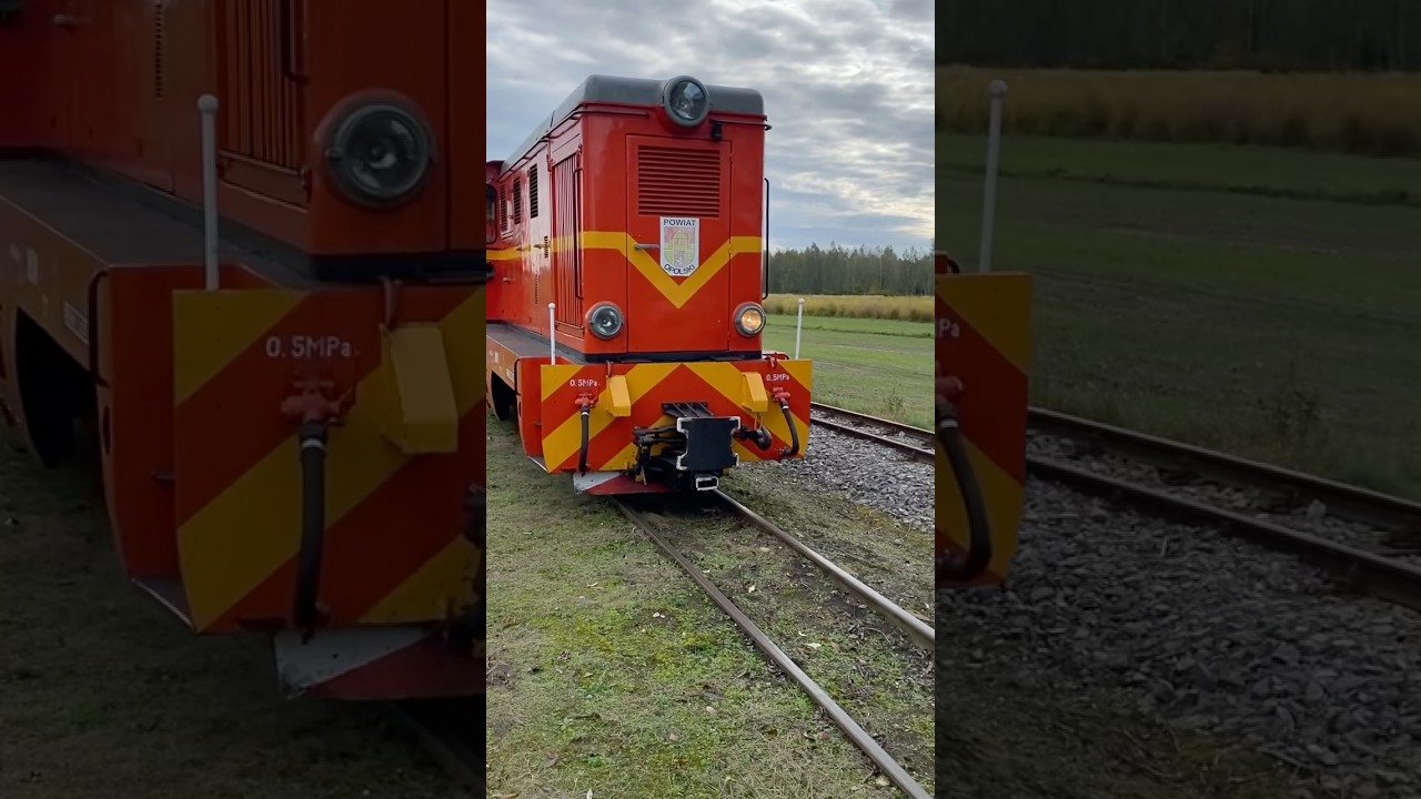 Maneuvers of the Lxd2-297 diesel locomotive. Polanówka.