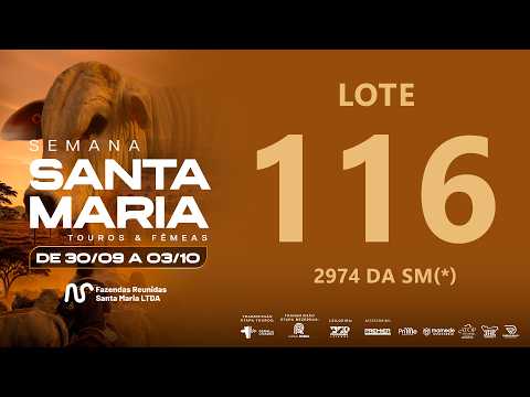 LOTE 116 FSM A2974
