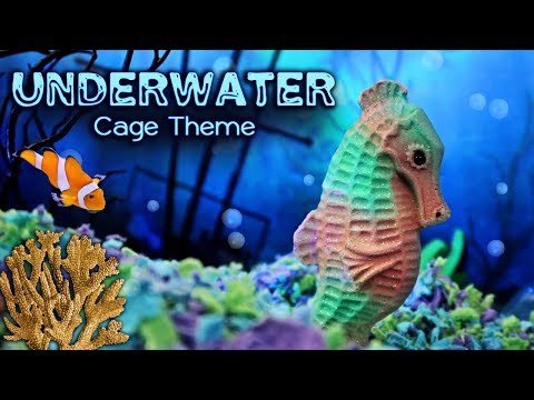 underwater hamster cage