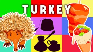 影を当てよう！🕌 子供向けの楽しい七面鳥アドベンチャー🥙 動物となぞなぞを使った教育漫画 screenshot 4