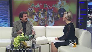 Ask Dr. Mike: Ticks Can Still Be A Problem In Winter