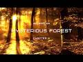 Relax | Mysterious Forest (chapter III)