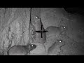 Big rat shooting 2023  night hunting rats with thermal scope  shooting rats in farm at night