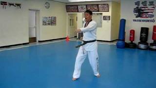 One Step Sparring #20