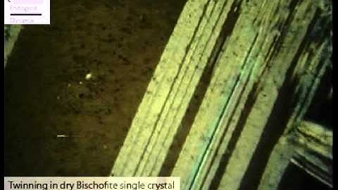 Twinning in dry Bischofite single crystal (Urai and Humphreys, 2000)