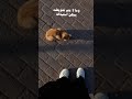 انا مش خارق بس استوعب كل شيئ الوارد انا بخير كلام من واقع هدوء انا مش خارق بس استوعب كل شيئ الوارد انا بخير كلام من واقع هدوء