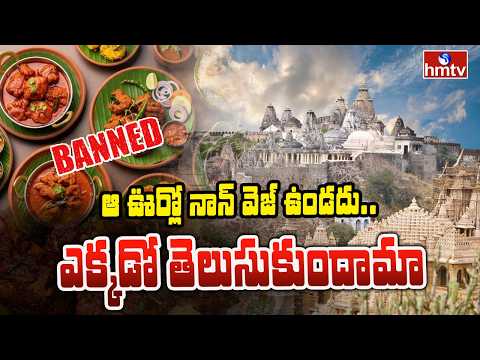 To The Point | ఆ ఊర్లో నాన్ వెజ్ ఉండదు.. ఎక్కడో తెలుసుకుందామా | hmtv - HMTVNEWS