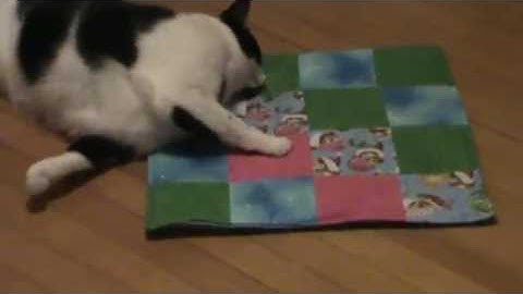 Catnip Blanket by From Me To You