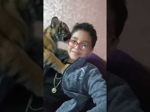 ٢٧ ديسمبر ٢٠٢٥ 