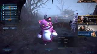 Tera Online PC 4K Ultra Setting FPS Test | i7 8700K/RTX2080