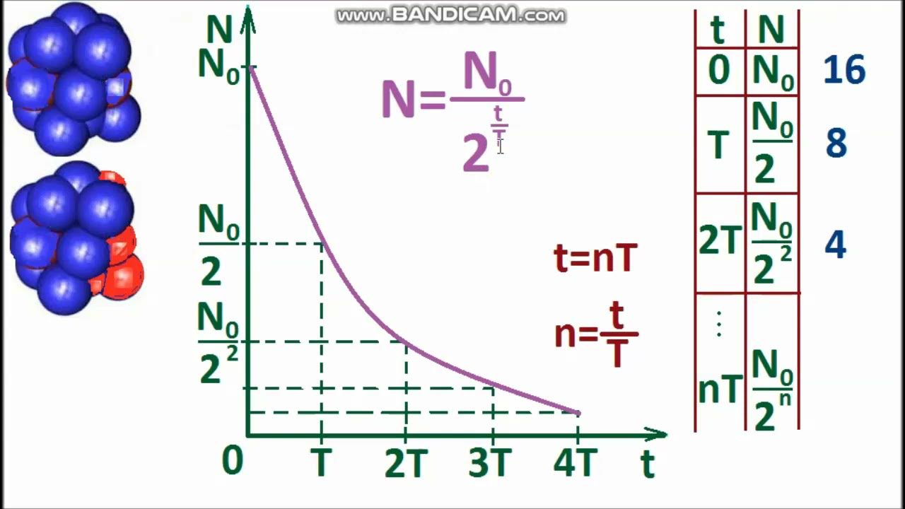 Радиоактивный распад физика 9 класс. Закон радиоактивного распада формула. Задачи на радиоактивный распад 9 класс. График радиоактивного распада.