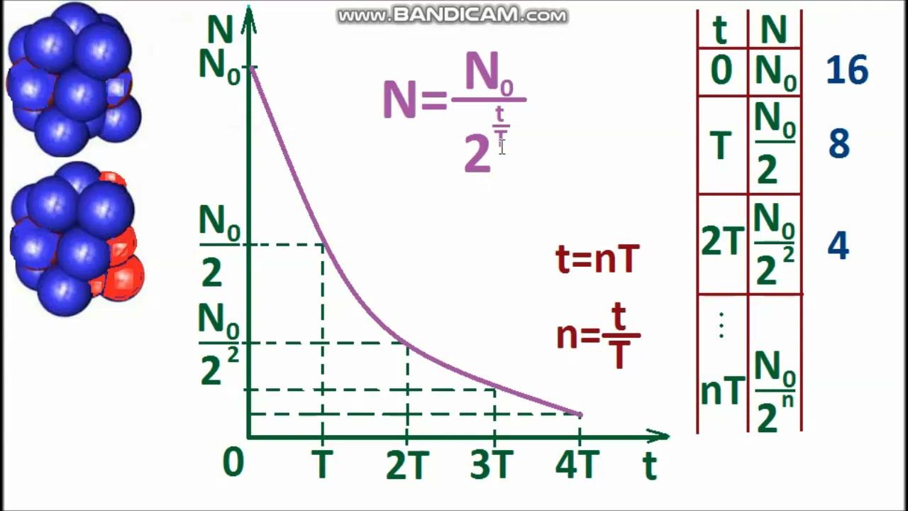 График радиоактивного распада углерода 14. Радиоактивный распад физика 9 класс. Закон радиоактивного распада формула. Задачи на радиоактивный распад 9 класс. График радиоактивного распада.