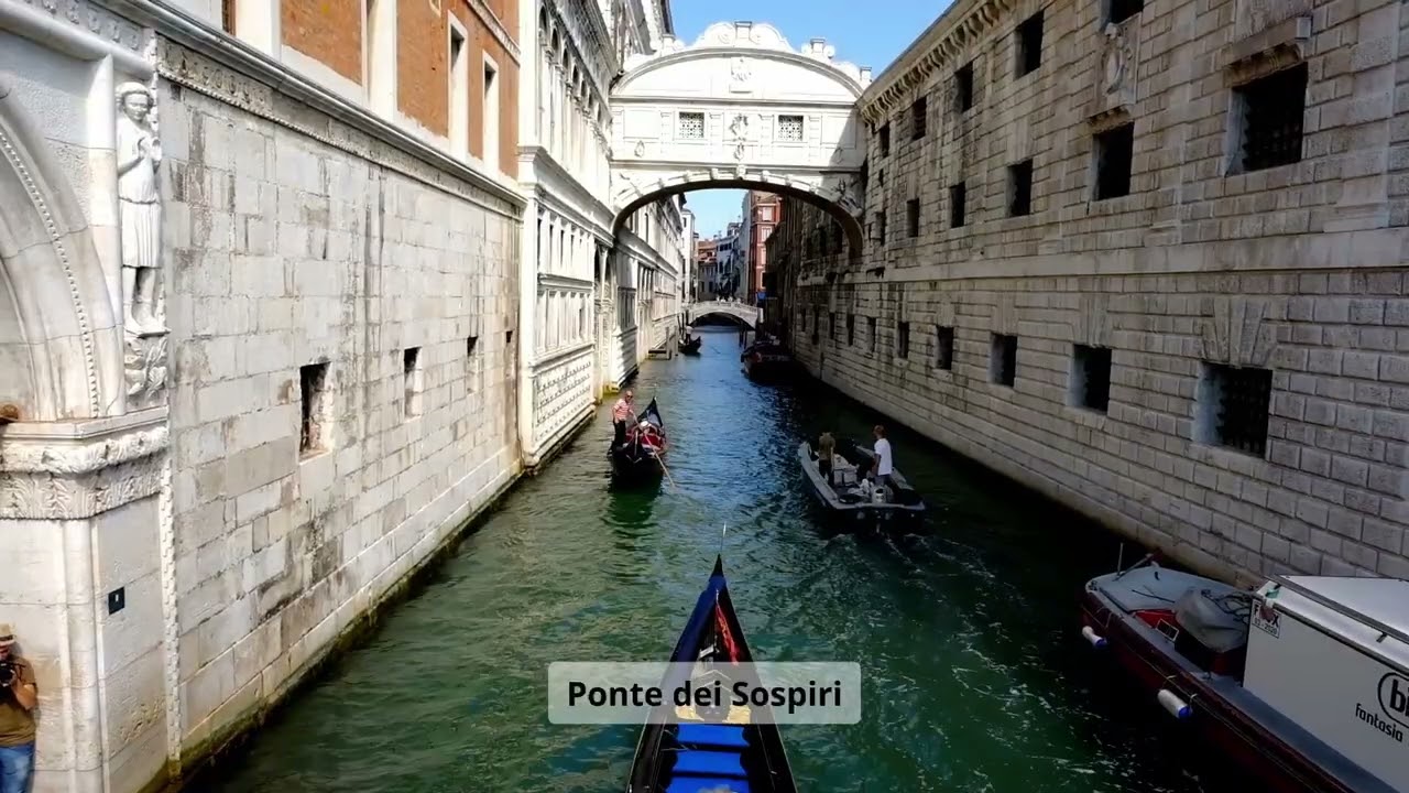 VENICE   Regata Storica