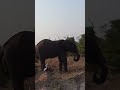 POV: you're on a Safari in Kruger National Park