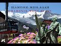 Шамони-Мон-Блан (chamonix-mon-blanc)