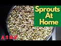 Sprouts at home  mung or green gram sprouts  making at home  asmr