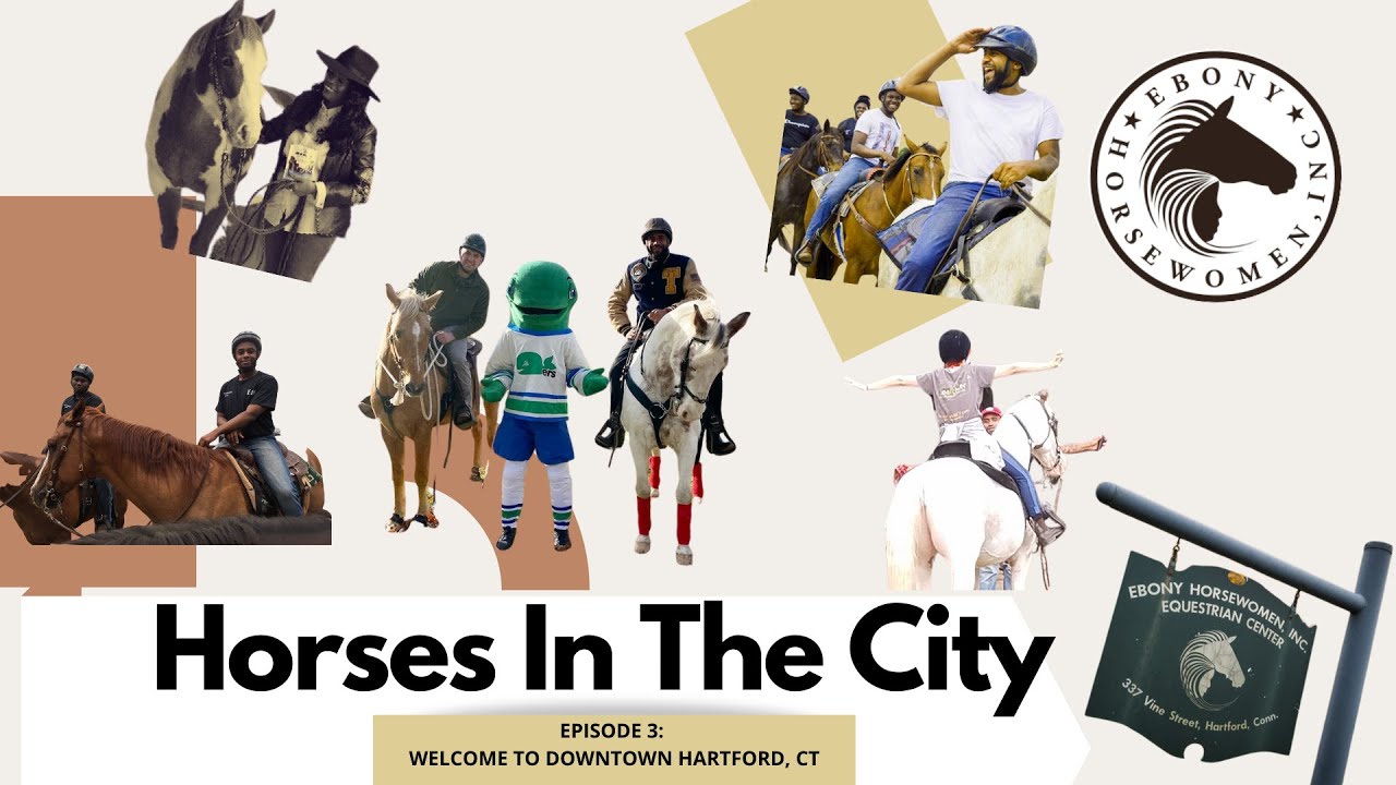 Horses in the City Episode 3 to Downtown Hartford, CT