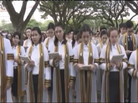 News  บัณฑิตจุฬาฯ พร้อมใจร่วมร้องเพลง "ต้นไม้ของพ่อ"