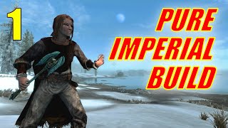Skyrim PURE IMPERIAL SPELLSWORD Walkthrough NO SMITHING, NO ALCHEMY  Part 1, Use the Voice!