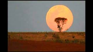 Boney M. - African Moon (Instrumental Version)