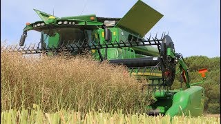 Une moisson 2018 moyenne mais correcte en orge et colza, Dordogne